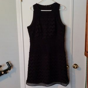 Navy blue lace Ann Taylor sheath dress